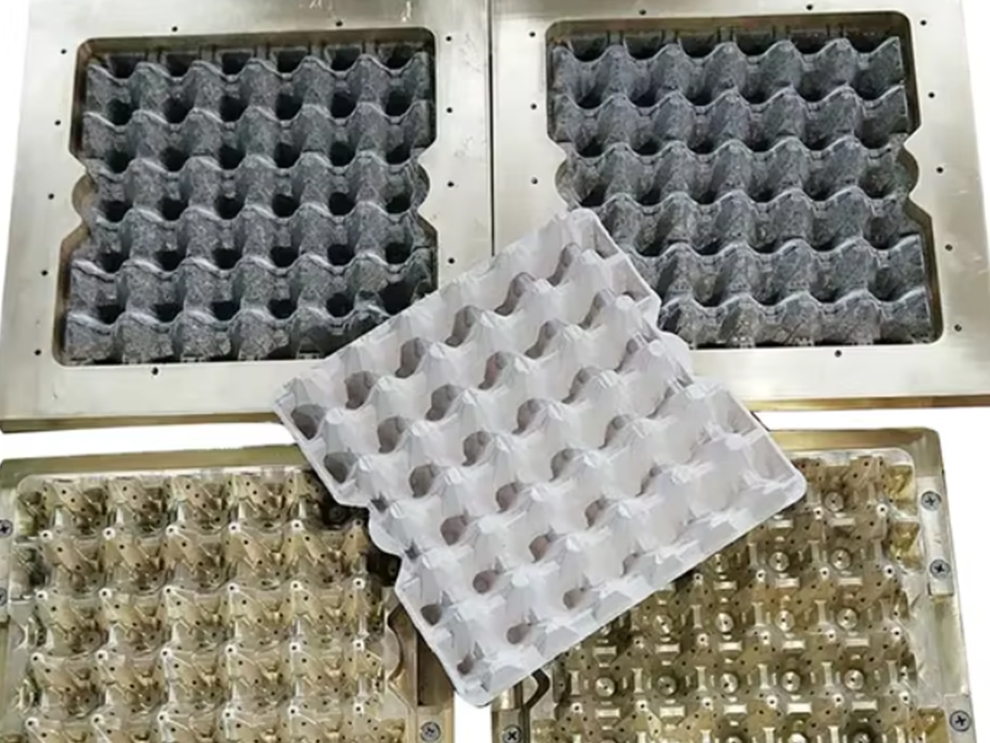 pulp mould mesh 6