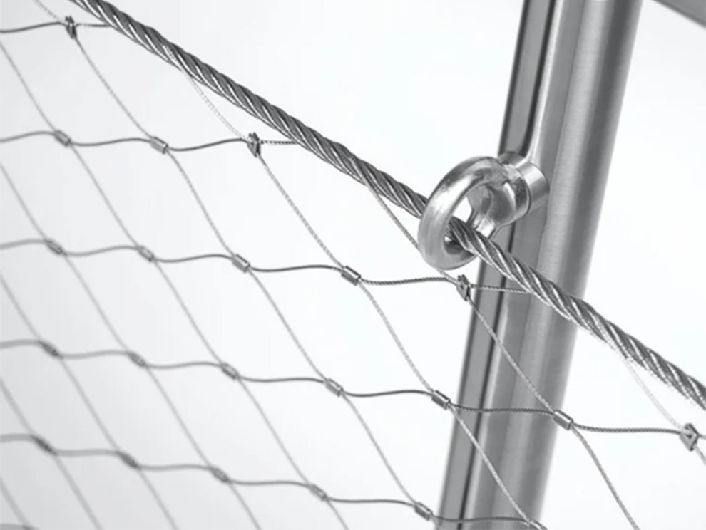 web net 2